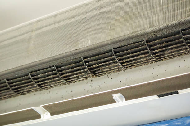 Best HVAC Duct Inspection Services  in Lacoste, TX